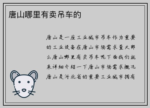 唐山哪里有卖吊车的