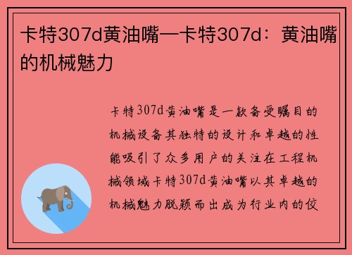 卡特307d黄油嘴—卡特307d：黄油嘴的机械魅力