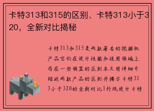 卡特313和315的区别、卡特313小于320，全新对比揭秘