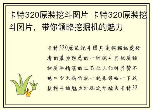 卡特320原装挖斗图片 卡特320原装挖斗图片，带你领略挖掘机的魅力