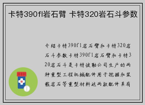 卡特390fl岩石臂 卡特320岩石斗参数