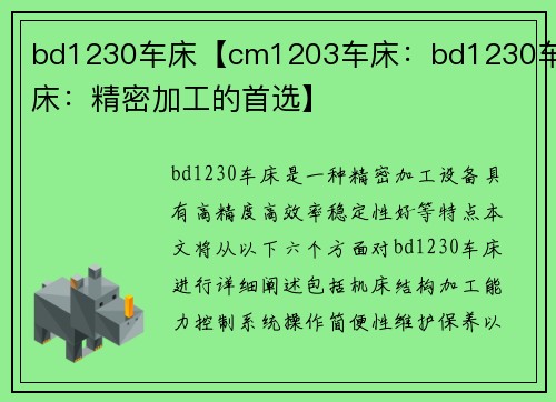 bd1230车床【cm1203车床：bd1230车床：精密加工的首选】